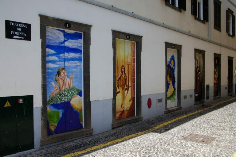 Painted Doors Project