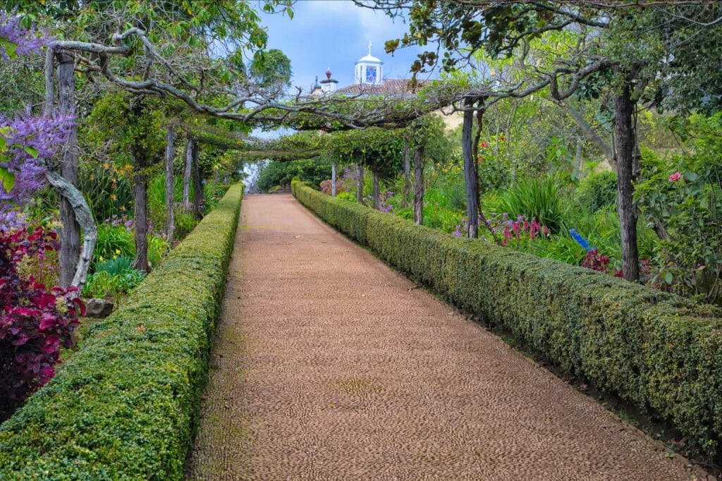 5 most beautiful Gardens in Funchal - Madeira 6 Palheiro Ferreiro Tuk Tuk Tour by Tukway