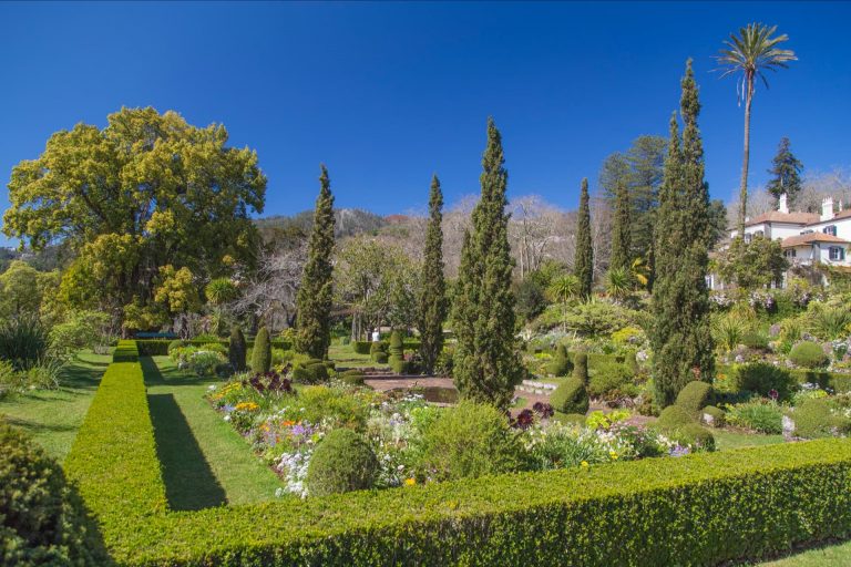 5 most beautiful Gardens in Funchal - Madeira