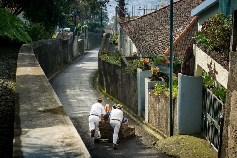 carrinhos de cesto
