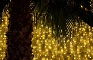 The wonders of Christmas in Madeira 5 Funchal Christmas Lights