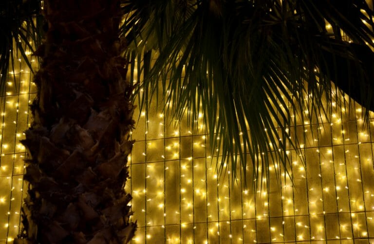 Funchal Christmas Lights