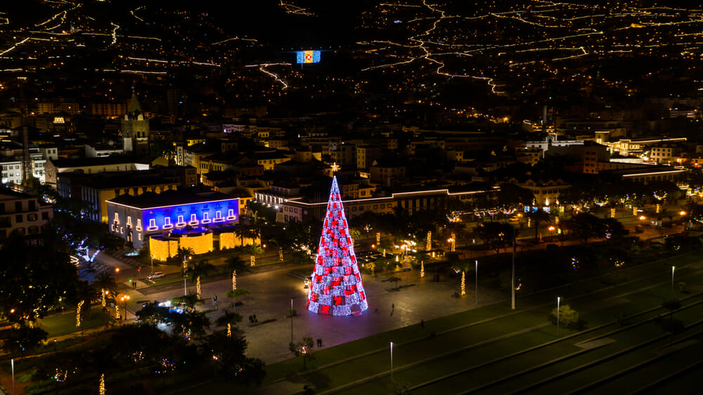 Winter in Madeira: 11 Unique Ways to Embrace the Island 12 Winter
