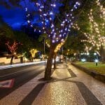 Funchal Magic Christmas Lights