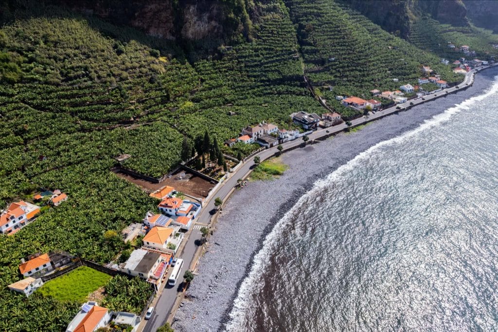 Madeira’s Bananas: A Flavorful Journey with Tukway 2 bananas